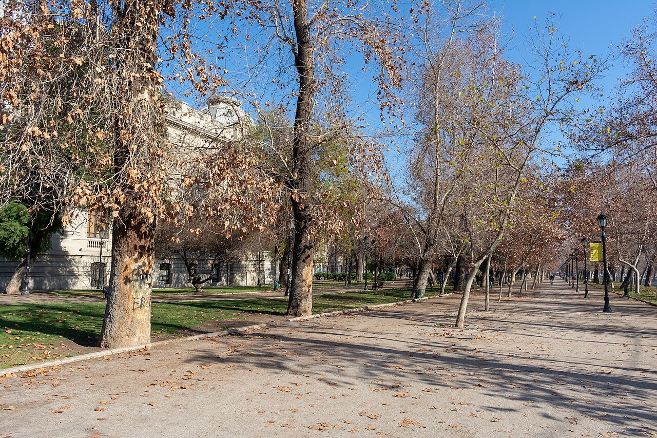 Sunny tree-lined paths through Parque Forestal in Santiago